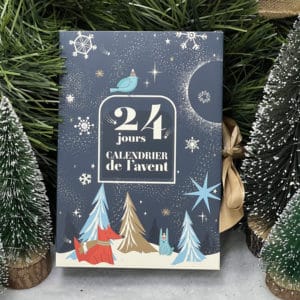 CALENDRIER NUIT CELESTE